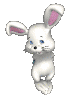 Have a hoppy Easter!